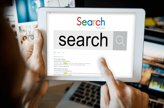 SEO search bar
